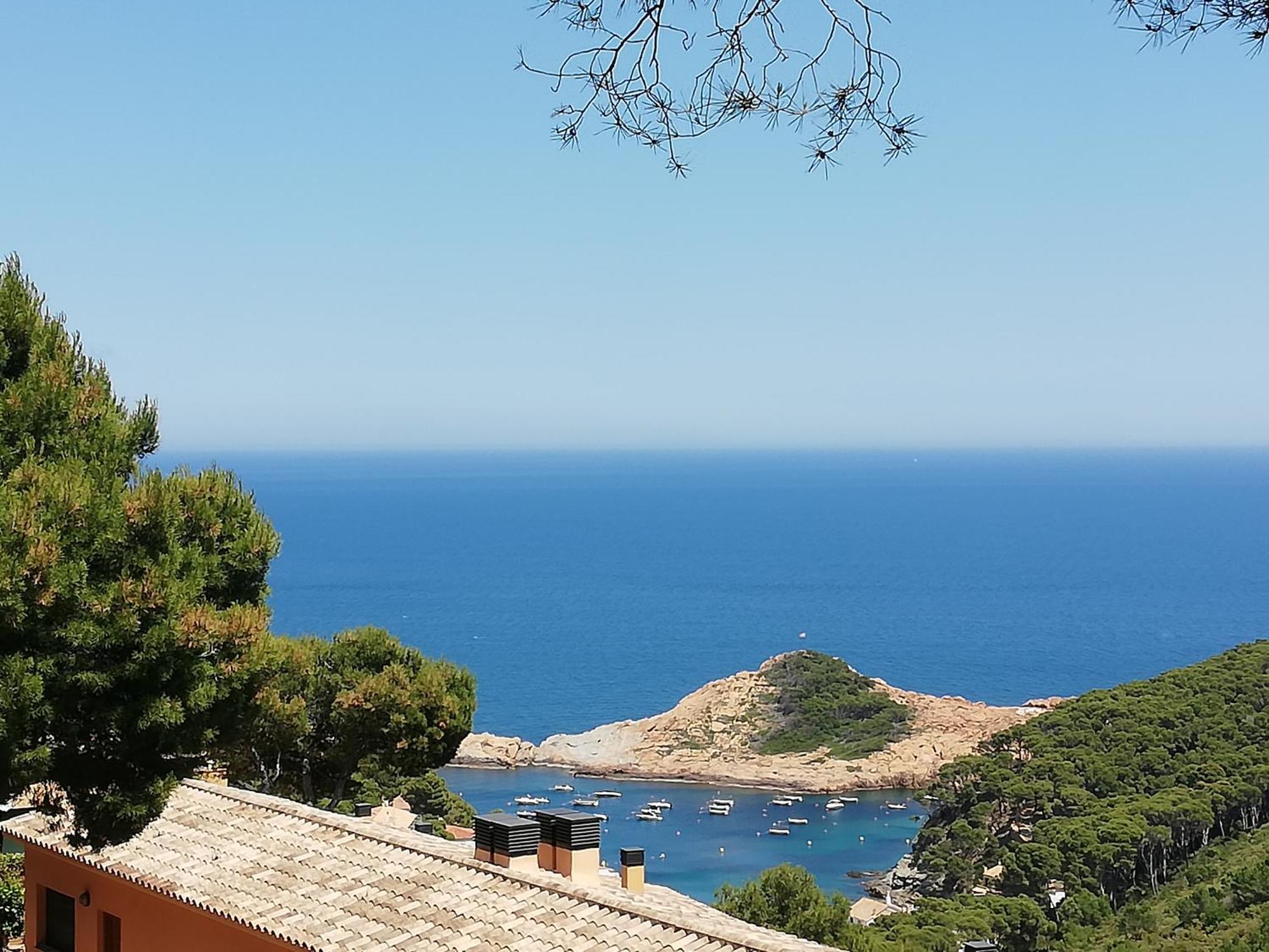"La Terrasse De La Mer 8" -Climatisation-Wifi-Bbq -Piscine-Parking Begur Exterior photo