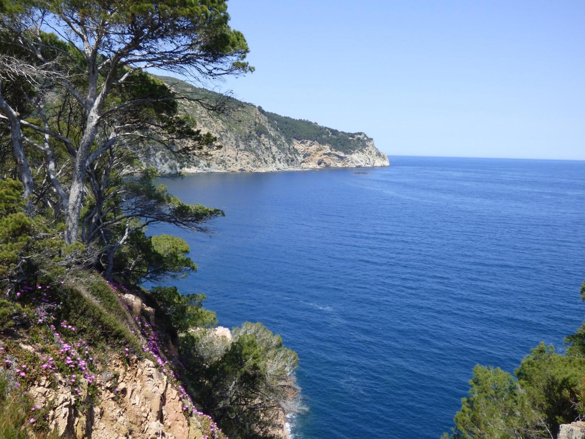"La Terrasse De La Mer 8" -Climatisation-Wifi-Bbq -Piscine-Parking Begur Exterior photo