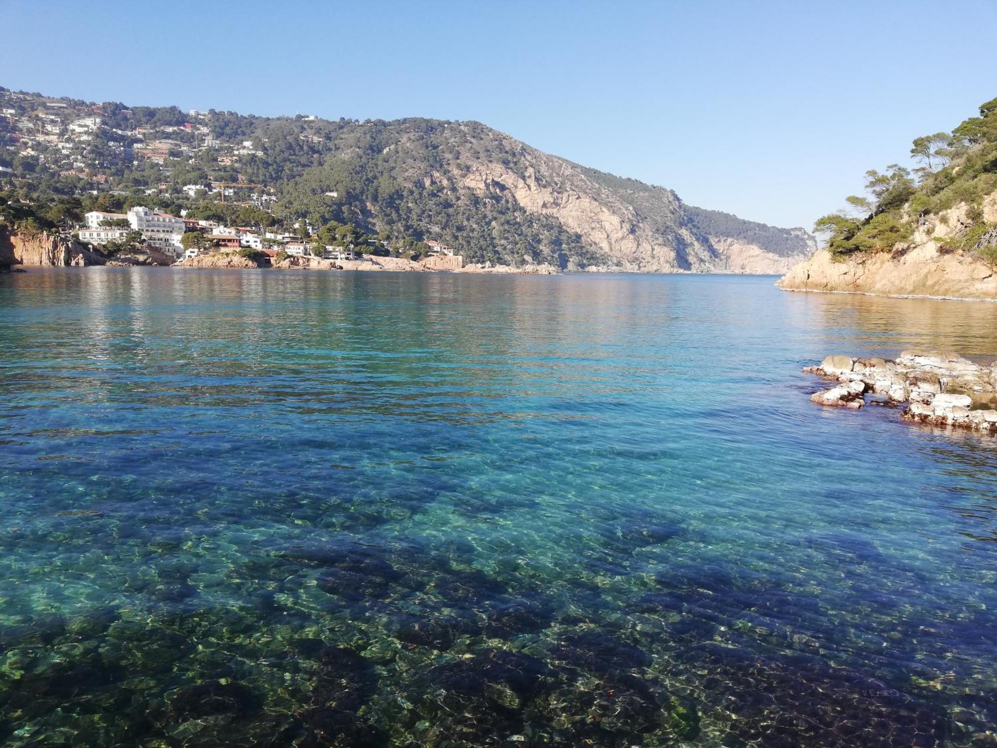 "La Terrasse De La Mer 8" -Climatisation-Wifi-Bbq -Piscine-Parking Begur Exterior photo